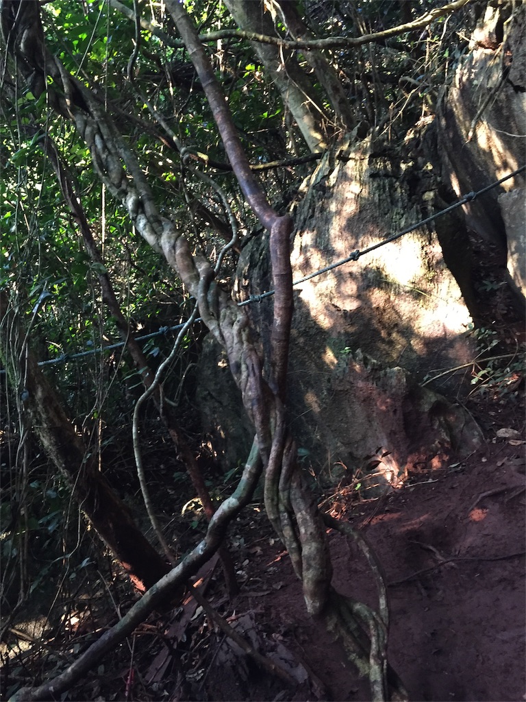 f:id:piwaso:20181209051419j:image f:id:piwaso:20181209051419j:image