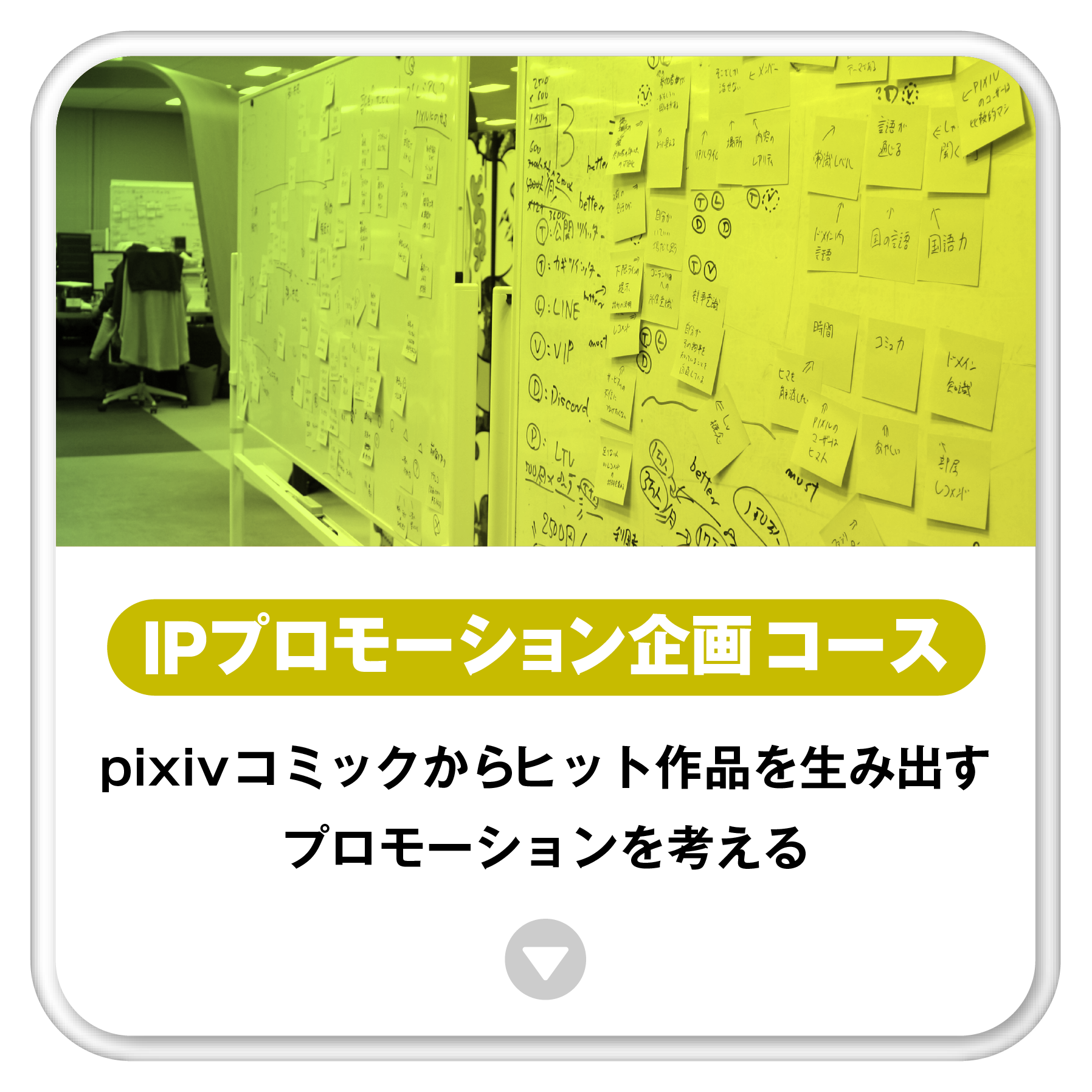 IPプロモーション企画