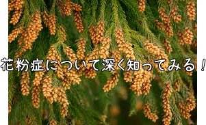 f:id:pixxi:20180311175523j:plain