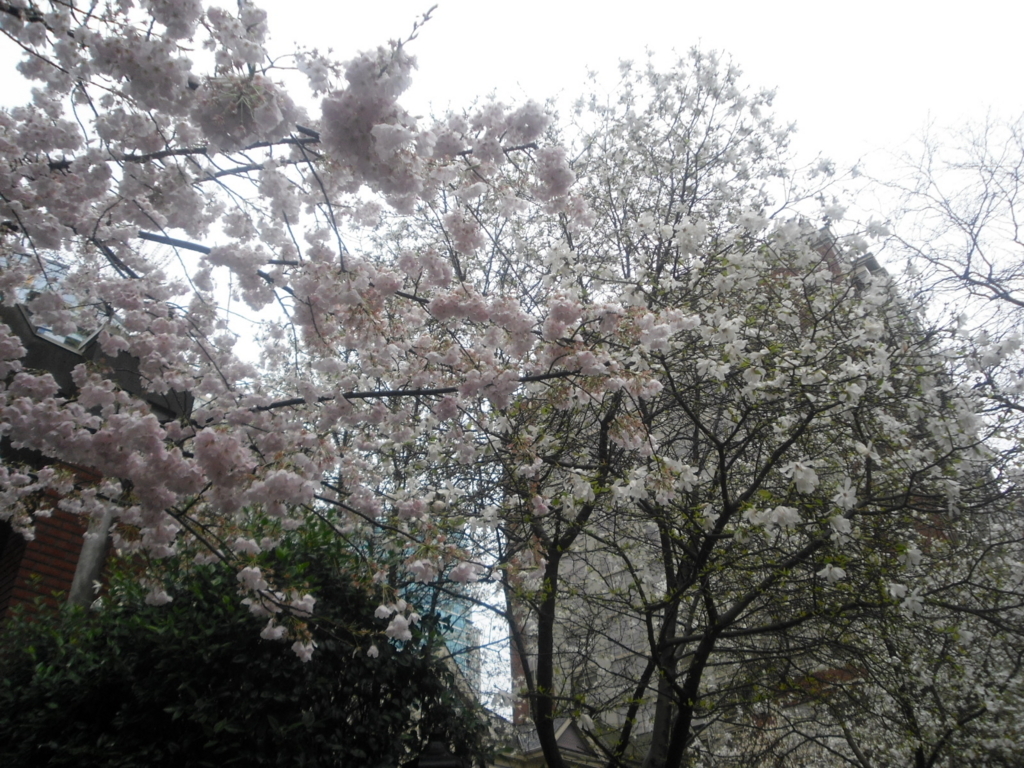 f:id:pixxi:20180408100353j:plain