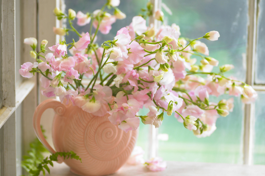 f:id:pixxi:20180410183822j:plain