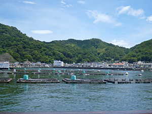 f:id:pixy666h:20120722224414j:image