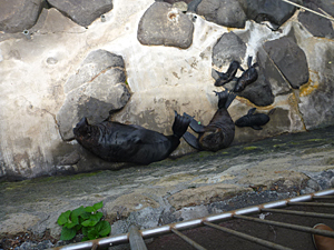 f:id:pixy666h:20120724215238j:image