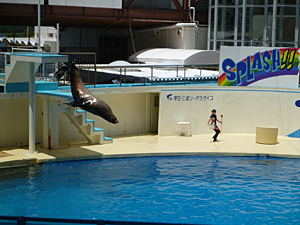 f:id:pixy666h:20120724215254j:image