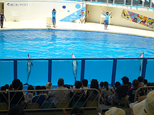 f:id:pixy666h:20120724215255j:image