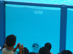 f:id:pixy666h:20120724215258j:image