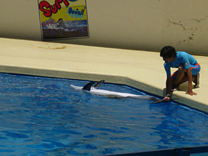 f:id:pixy666h:20120724215301j:image
