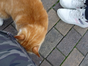 f:id:pixy666h:20120724215334j:image