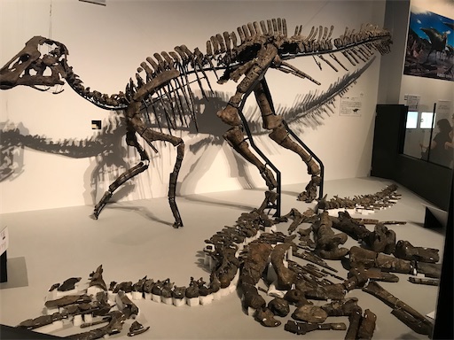 f:id:piy0q:20230509155849j:image f:id:piy0q:20230509155849j:image