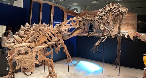 f:id:piy0q:20230509160010j:image f:id:piy0q:20230509160010j:image