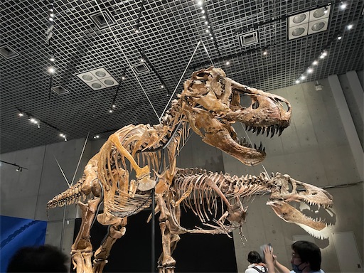 f:id:piy0q:20230509160245j:image f:id:piy0q:20230509160245j:image