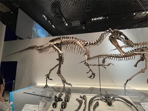 f:id:piy0q:20230509160306j:image f:id:piy0q:20230509160306j:image