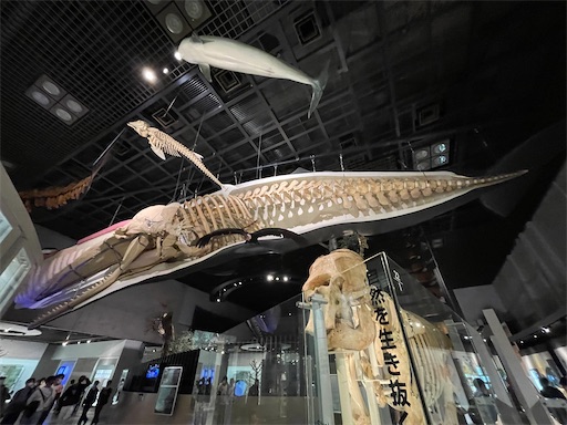 f:id:piy0q:20230509170835j:image f:id:piy0q:20230509170835j:image