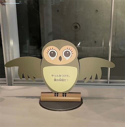 f:id:piy0q:20230509170853j:image f:id:piy0q:20230509170853j:image