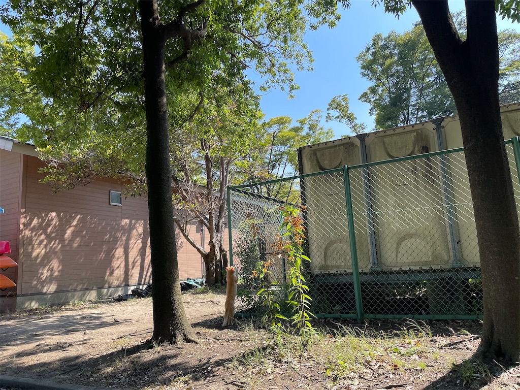 f:id:piyo-emon:20250923131736j:image