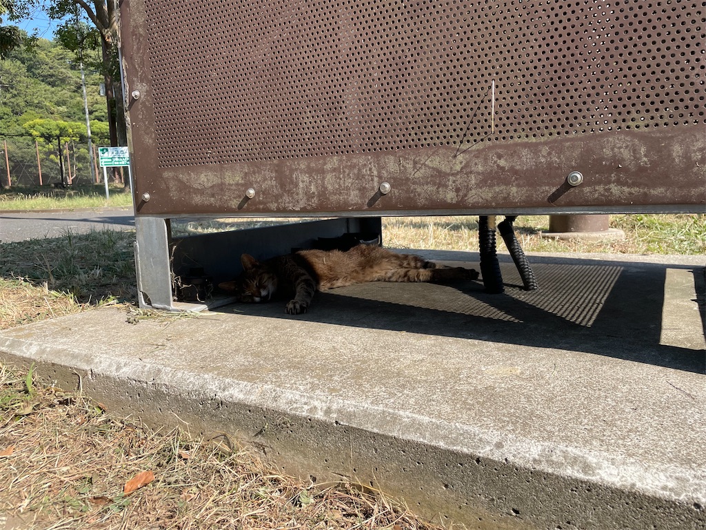 f:id:piyo-emon:20250923132343j:image