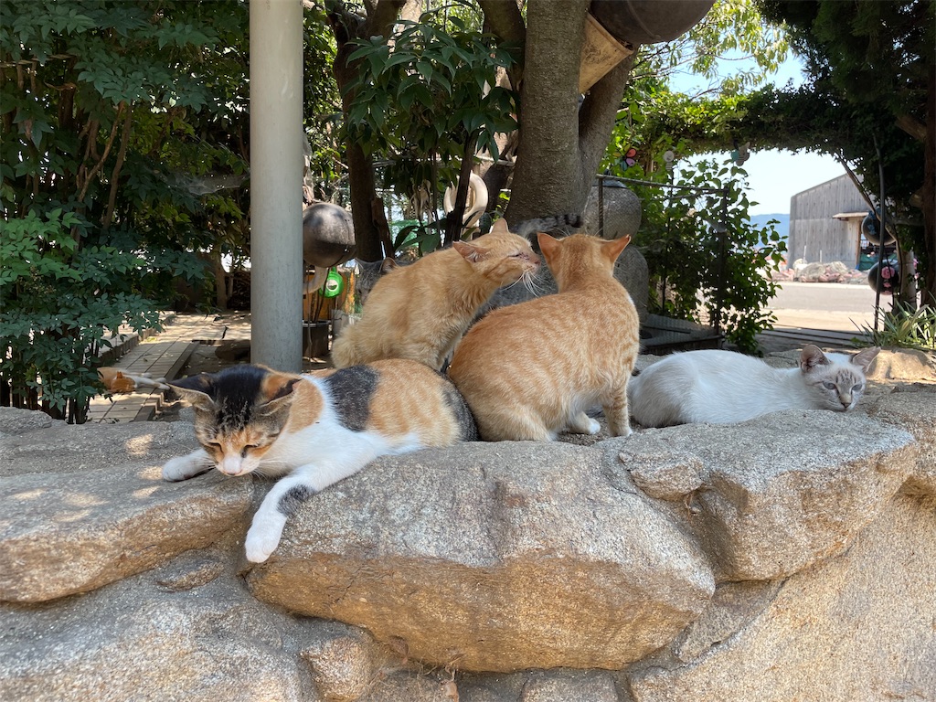 f:id:piyo-emon:20250926235830j:image