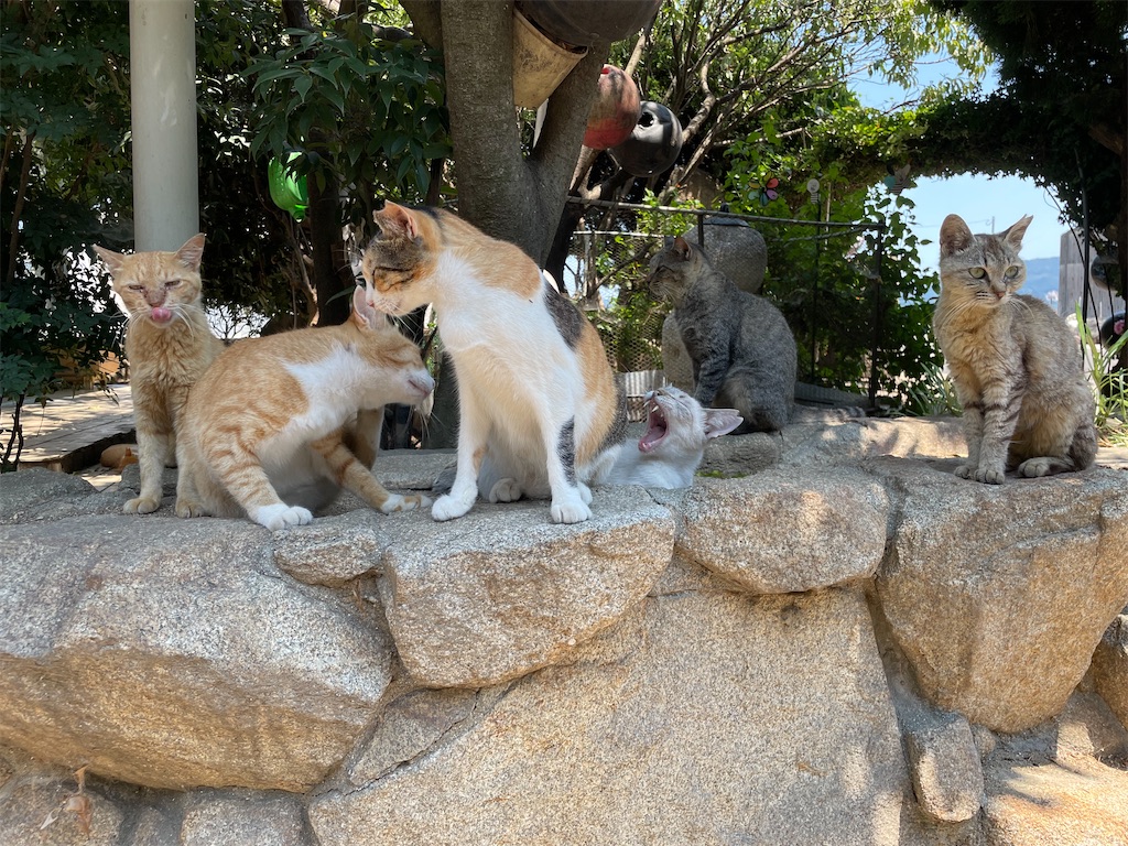 f:id:piyo-emon:20250926235836j:image