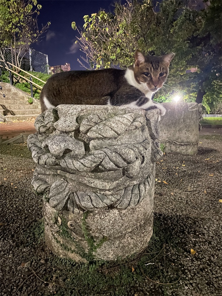 f:id:piyo-emon:20251022191448j:image