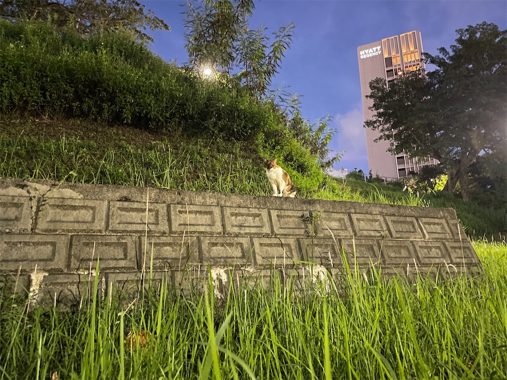 f:id:piyo-emon:20251031173710j:image