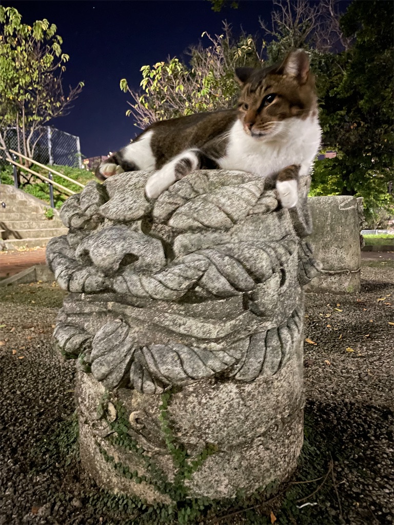 f:id:piyo-emon:20251031173733j:image