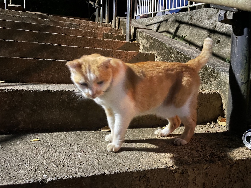 f:id:piyo-emon:20251031173744j:image