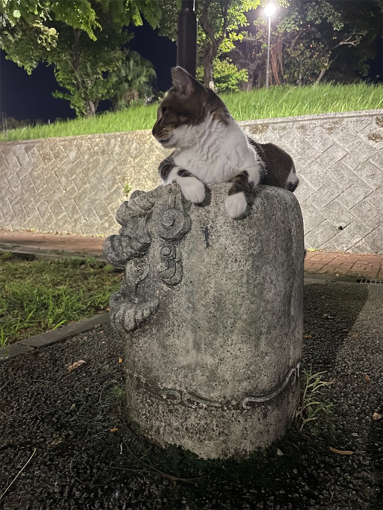 f:id:piyo-emon:20251031173802j:image