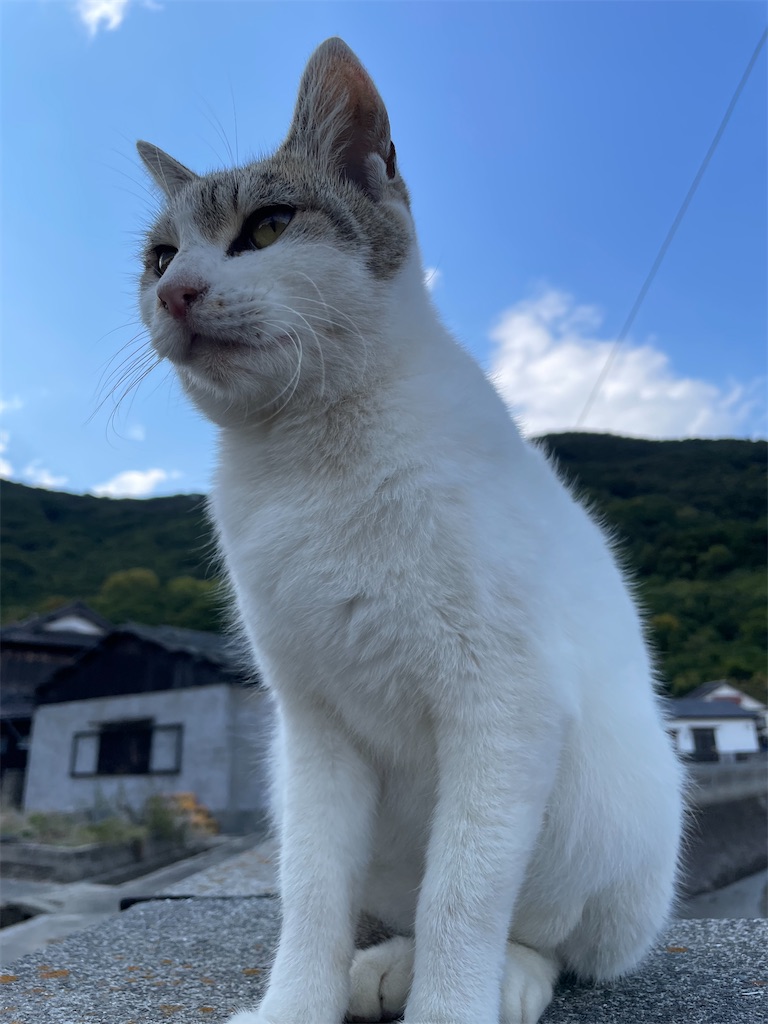 f:id:piyo-emon:20251114115556j:image