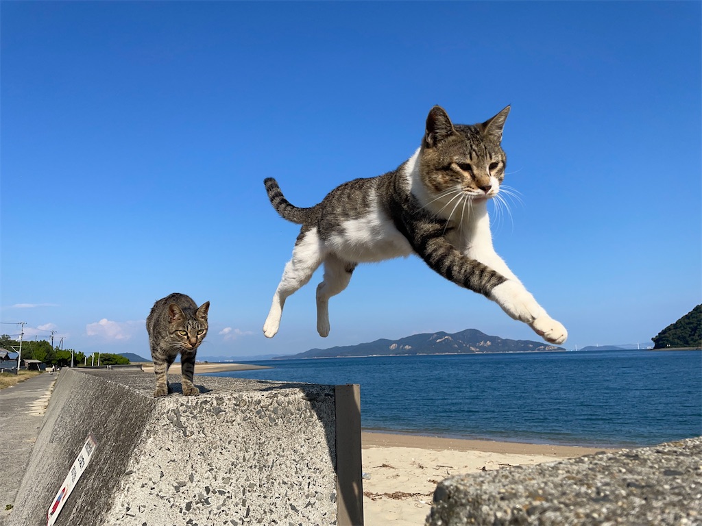 f:id:piyo-emon:20251114120109j:image