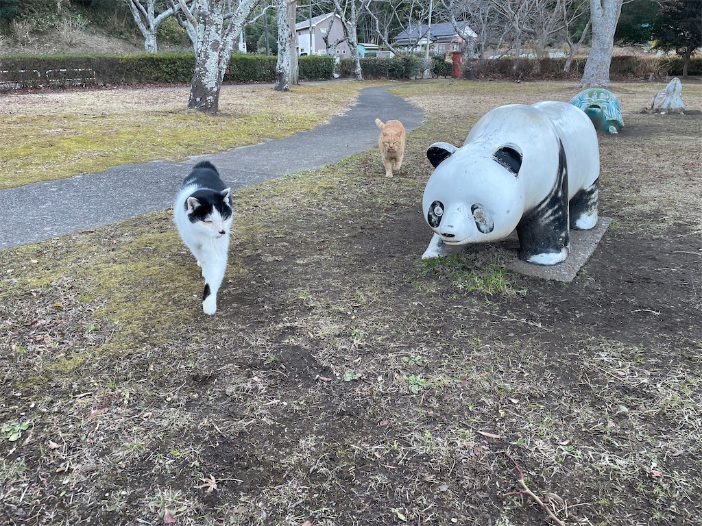 f:id:piyo-emon:20251129203945j:image