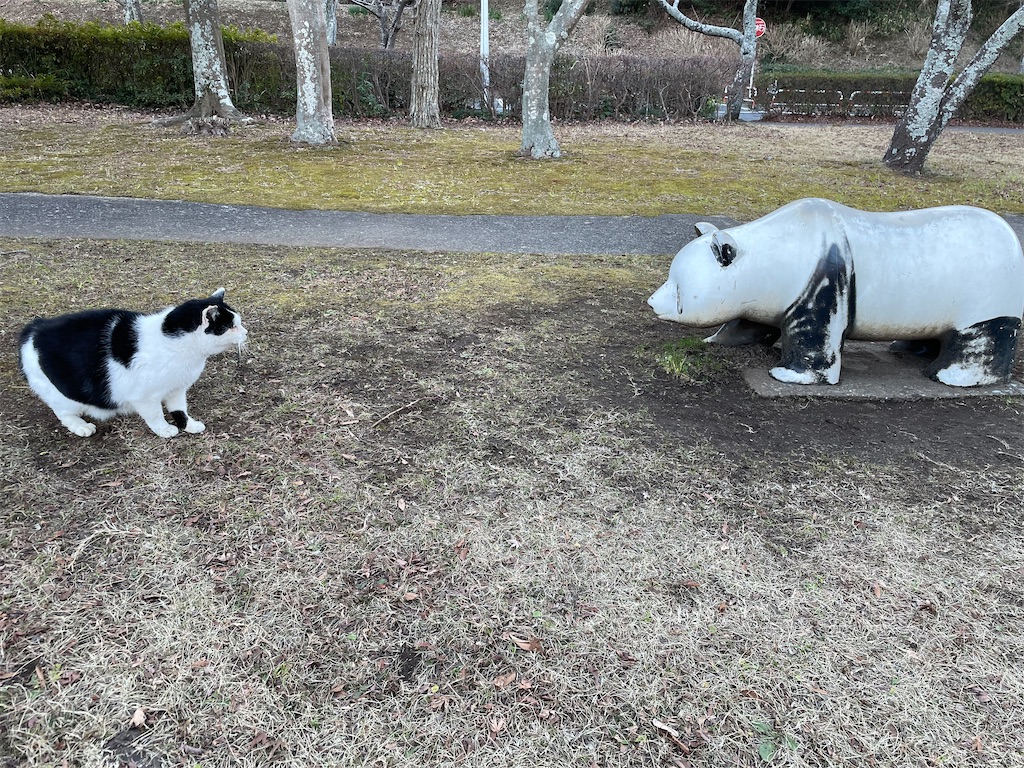 f:id:piyo-emon:20251129203949j:image