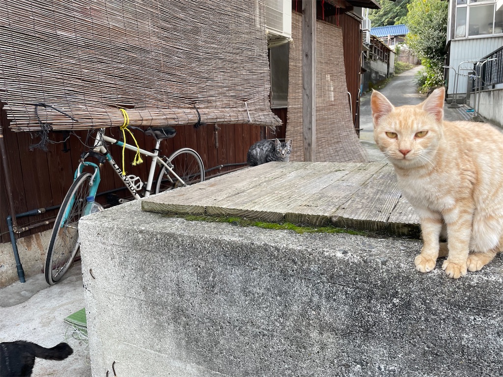 f:id:piyo-emon:20251209223943j:image