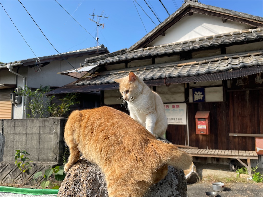 f:id:piyo-emon:20251209224012j:image