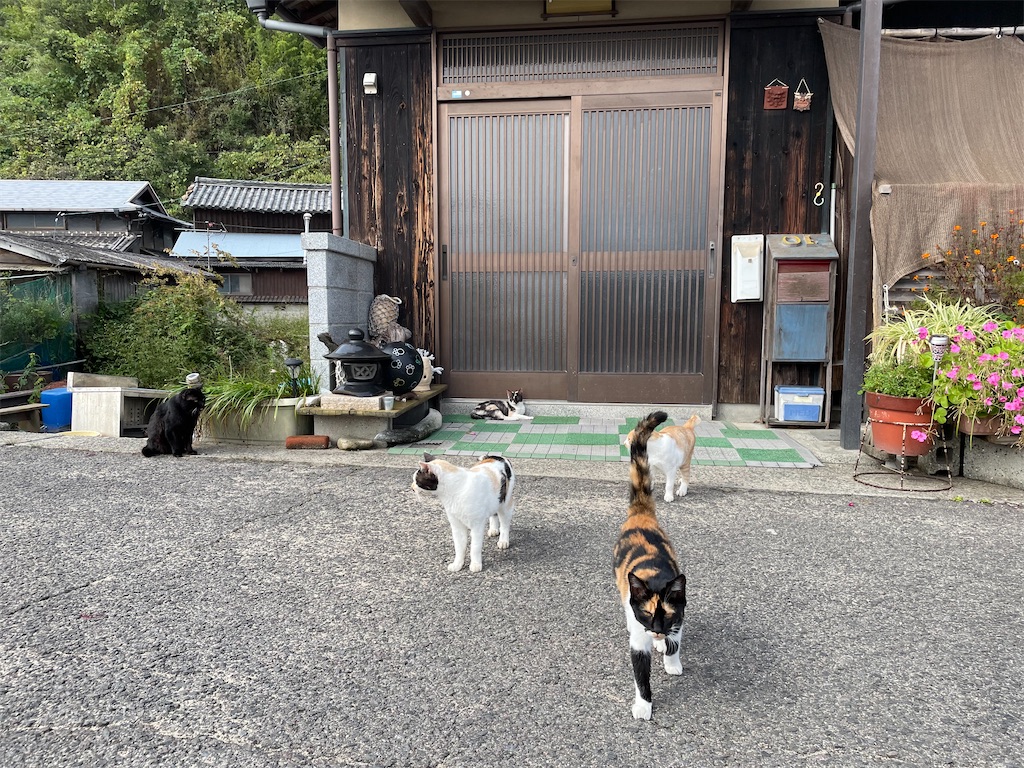 f:id:piyo-emon:20251209224059j:image