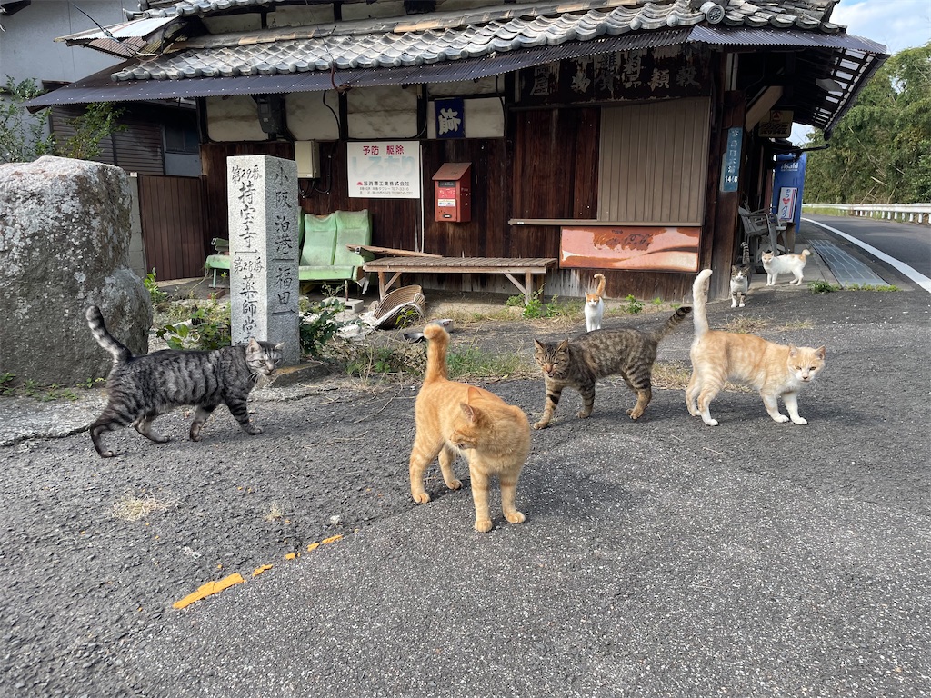 f:id:piyo-emon:20251209224129j:image