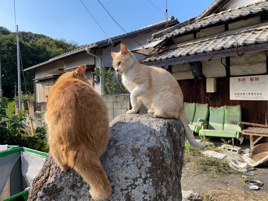 f:id:piyo-emon:20251209224133j:image