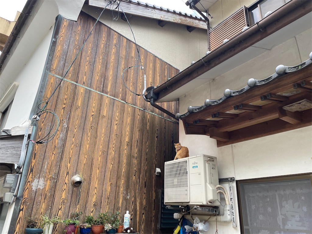 f:id:piyo-emon:20260411121906j:image f:id:piyo-emon:20260411121906j:image