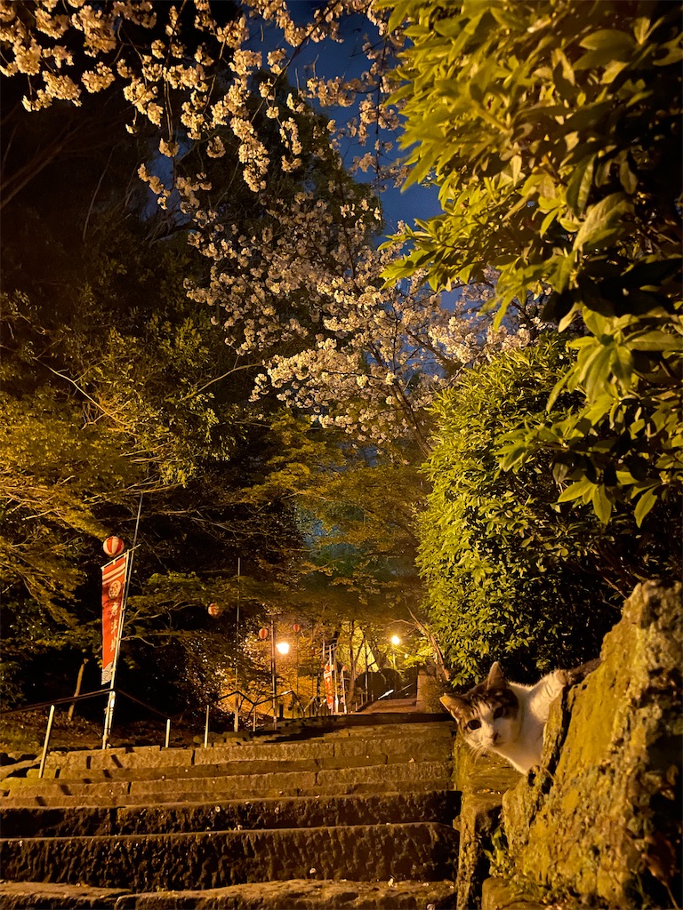 f:id:piyo-emon:20260411124126j:image f:id:piyo-emon:20260411124126j:image