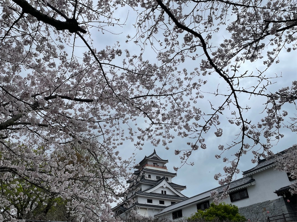 f:id:piyo-emon:20260411124143j:image f:id:piyo-emon:20260411124143j:image