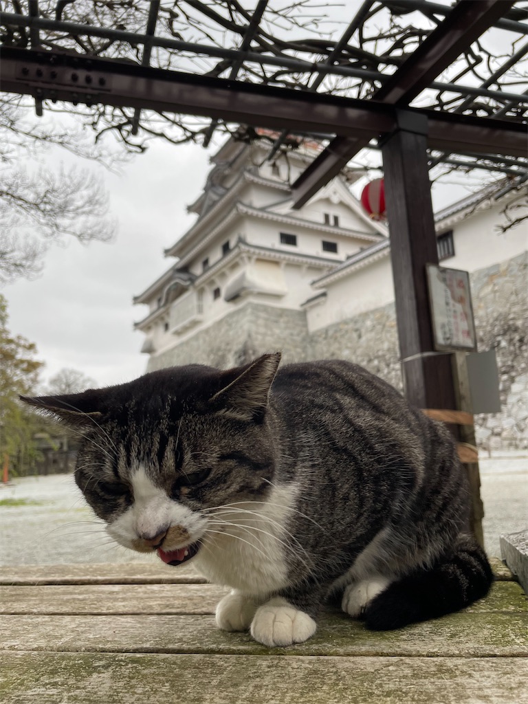 f:id:piyo-emon:20260411124214j:image f:id:piyo-emon:20260411124214j:image
