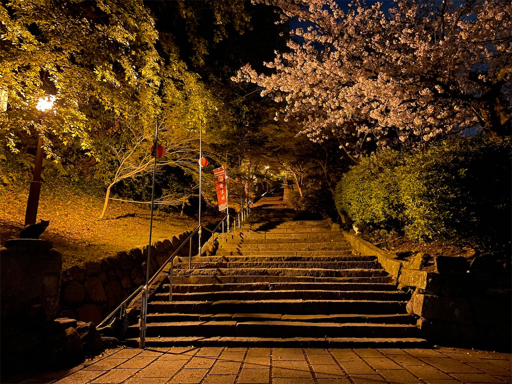 f:id:piyo-emon:20260411124236j:image f:id:piyo-emon:20260411124236j:image
