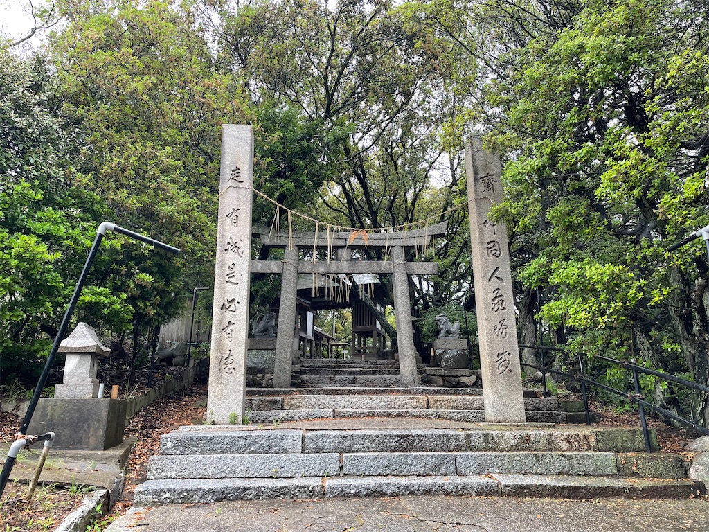 f:id:piyo-emon:20260509220554j:image f:id:piyo-emon:20260509220554j:image