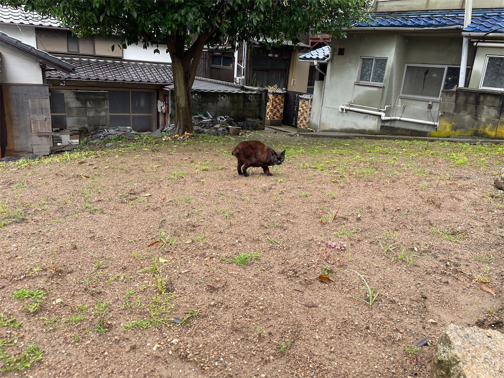 f:id:piyo-emon:20260509222520j:image f:id:piyo-emon:20260509222520j:image