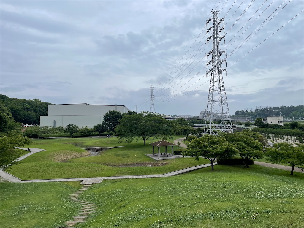 f:id:piyo-emon:20260608080043j:image