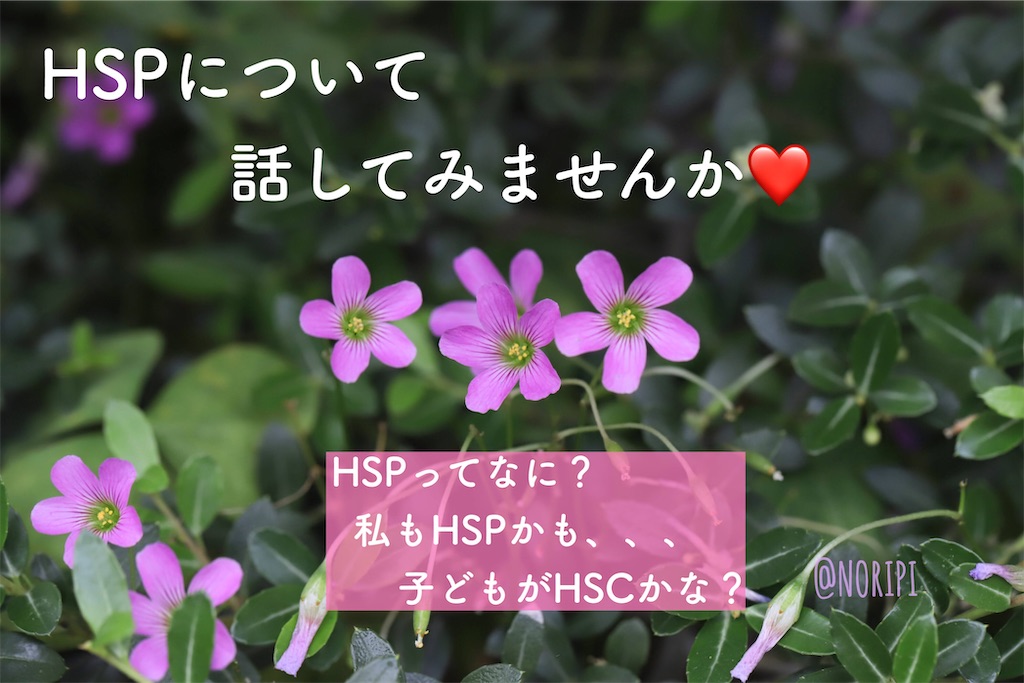 f:id:piyo173:20231114104105j:image