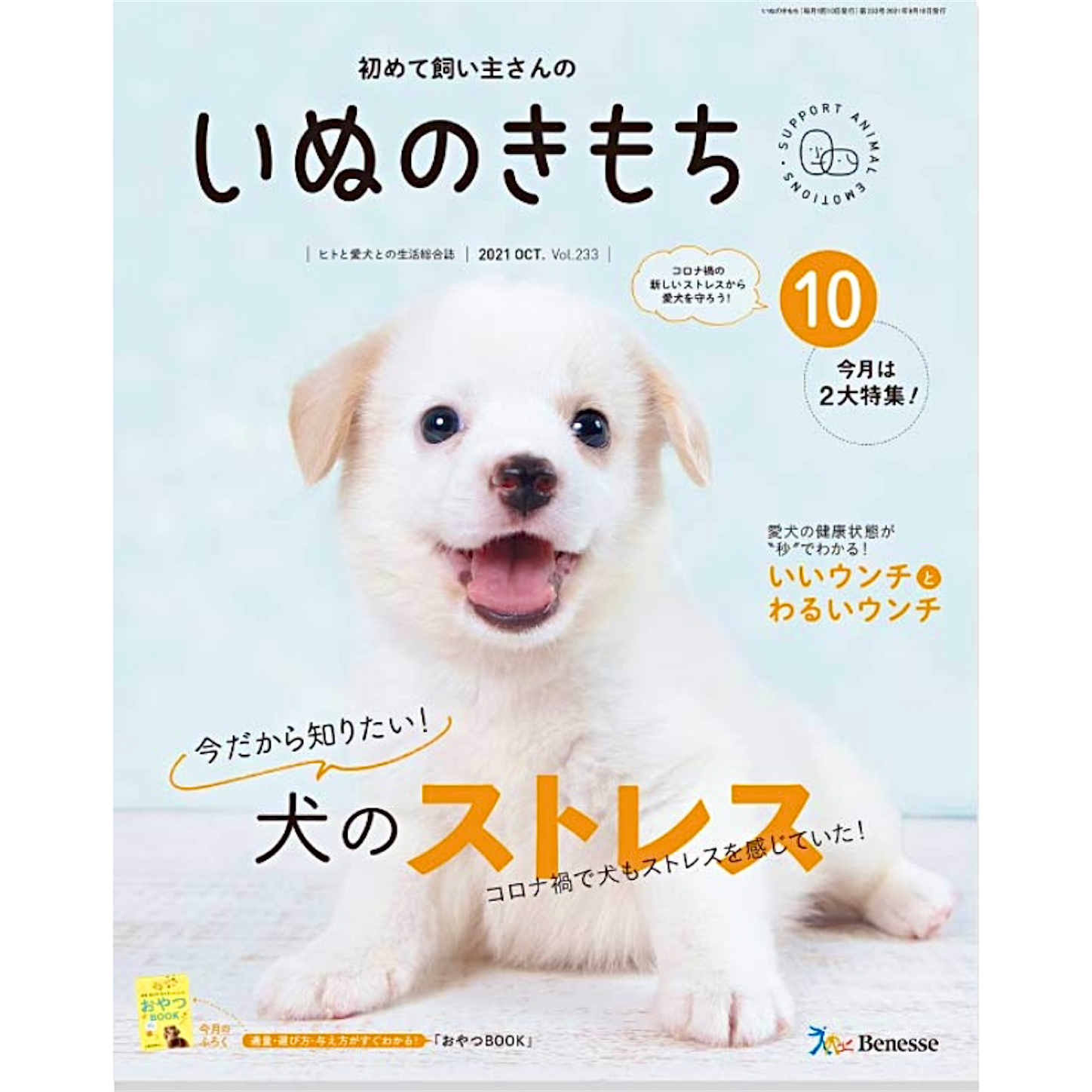 f:id:piyo3chihiro:20210915203136p:image f:id:piyo3chihiro:20210915203136p:image