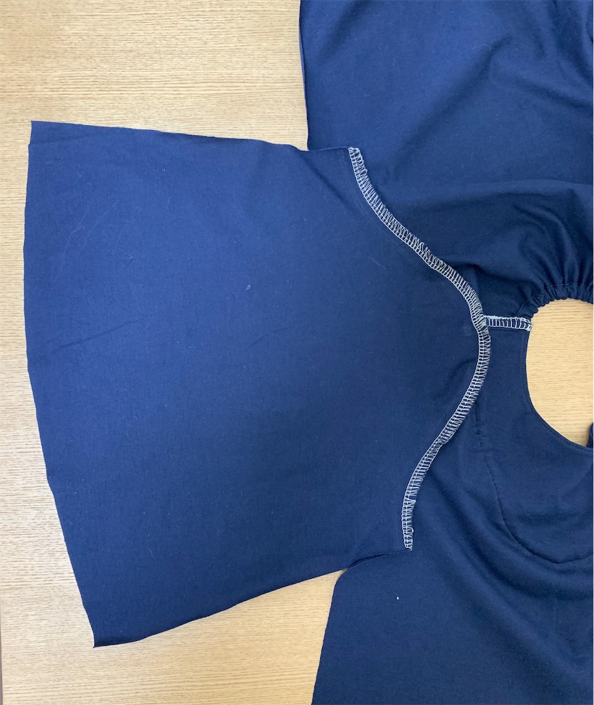 f:id:piyobu:20210222232555j:image