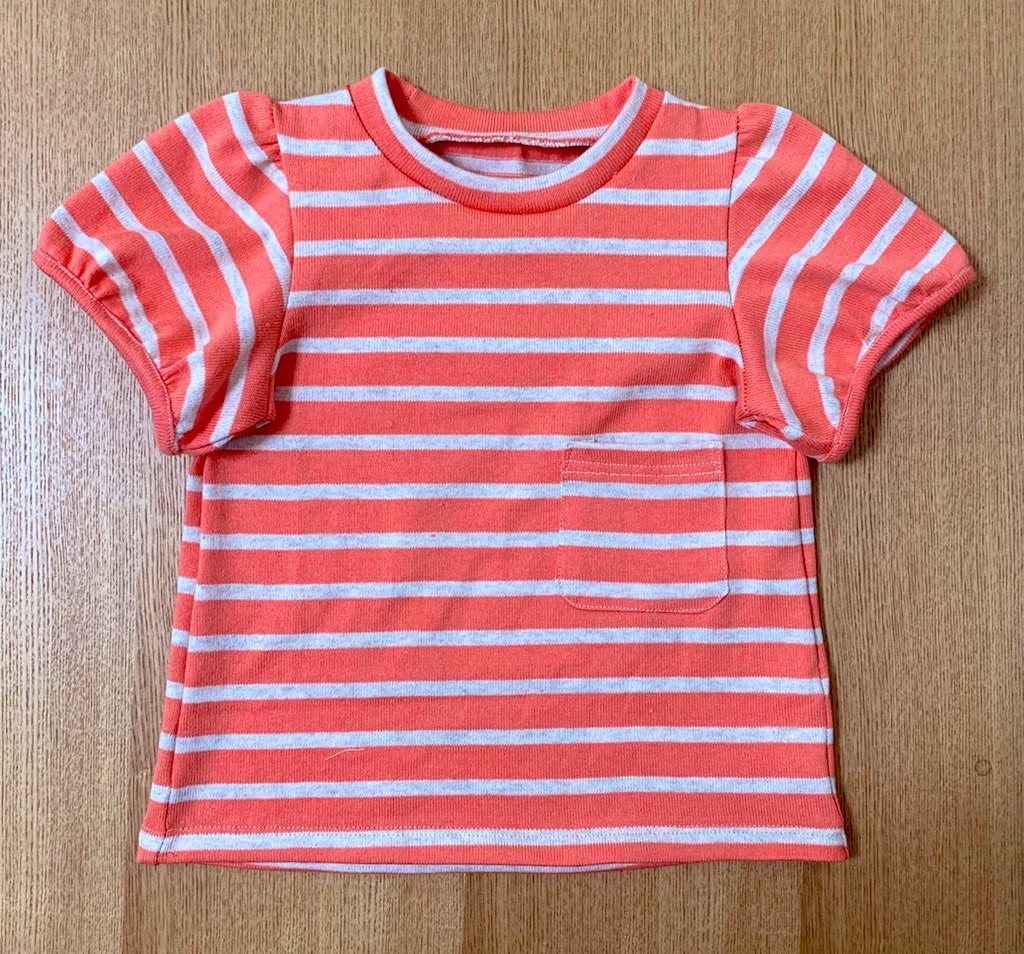 f:id:piyobu:20210421123133j:image