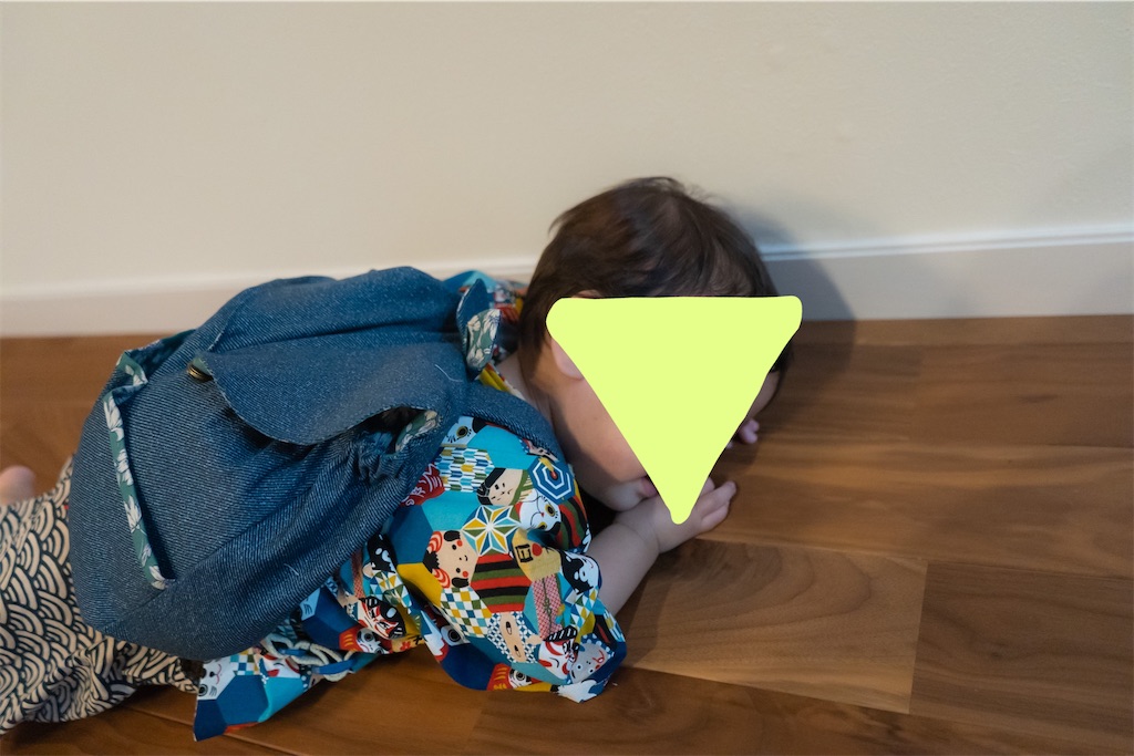 f:id:piyobu:20220608070305j:image