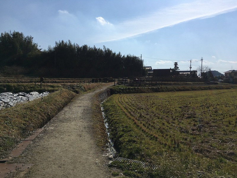 f:id:piyokoworks:20190124130821j:plain f:id:piyokoworks:20190124130821j:plain
